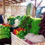 Ithaca Farmer's Market